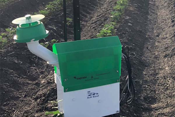 Trapview sensor in a field